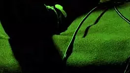 girl tied up and squirting