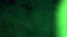 Good Young 18+ Pussy