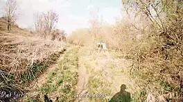 cheating tourist sucks cock for help