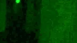 Watch The Amateur Skinny Slave Take Anal POV In Prison!