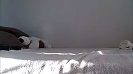 riding dildo and fingering pussy 😏