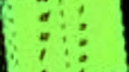 summertime saga 141 teen game adventure