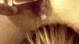 Stallion milker series five