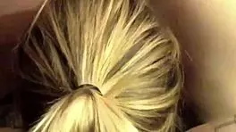 Stallion milker series five