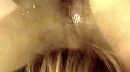 Stallion milker series five