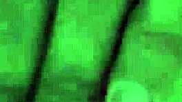 Leo Ogro Boldly Cums On Skinny Asian Teen In Street Cosplay Costume