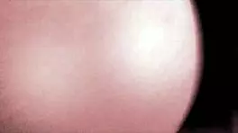 Compilation Cucumber and Double Penetration