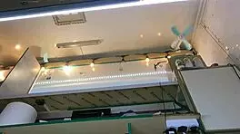 Boss Plays With Sexy Shop Assistant Pussy During Customer Talk