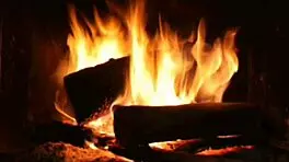 Erotic Narration of the Maid