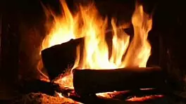 Erotic Narration of the Maid