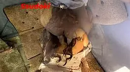 Convenci a mi mejor amigo de lamerme el coño hasta llegar al orgasmo porque después de la piscina me puse cachonda