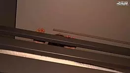 friend watches me fuck boyfriend jerking