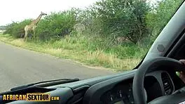 Safari with black african teen 18+ got her horny for a big white cock