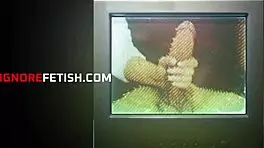 Happy Home Moment With Fetish Elements