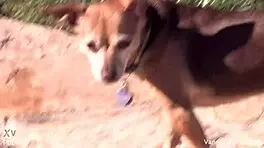 Behind The Scenes With Vanessa Cage In Private Moments