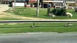 Watch seductive beach pick-up girl in tiny bikini unleash hotel passion