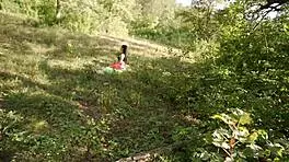 caught stranger doing yoga in woods gave hard cock