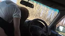 the brotherly figure fucked the sisterly figure in the car while in an open field