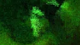 fucking that 18 yo teen on the couch in low light