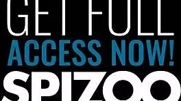 vanna bardot petite brunette rides big cock cowgirl after bent over doggystyle