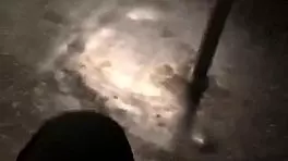 wanna grope this big ass girl's curves on the train?