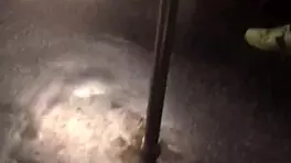 wanna grope this big ass girl's curves on the train?