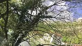 Bensoncon France Blonde European Gathering