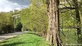 Bensoncon France Blonde European Gathering