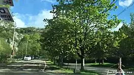 Bensoncon France Blonde European Gathering