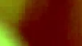 Henessy Lola Candy's Shaved Pussy Tribbing Lick Fest