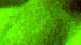 young boy strokes his cock in intense solo masturbation session