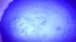 two ravenous sluts devour each other hungrily