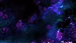 Anne Bonny and Jack Sparrow Cosplay Fuck After Festival Party