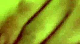 petite girlfriend spreads hairy pussy wide for cash play