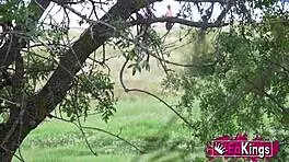 Amanda Luxor Public Pickup Adventure Awaits