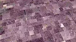 sexo por dinero lets me grope her tits publicly wild