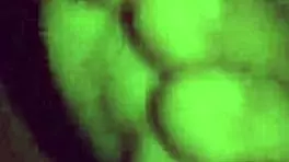 irresistible big ass babe bent over begging for it