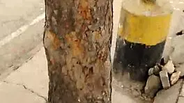 what if sexy indian flashes blue panties in crowded public spot?