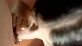 Curvy latina brunette cutie sucks big cock deepthroat amateurs cum mouth