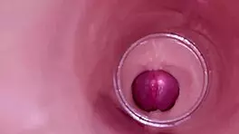 oh god, feel that deep cumshot inside my tight wet pussy closeup