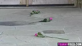 natalie mars trans girlfriend wrecks with big tits blowjob and ass havoc!