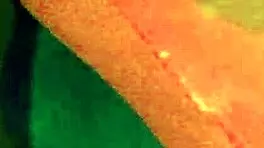 watching tv turns into sensual homemade couple creampie session