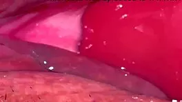 amateur asian wife fingers wet shaved pussy post virginity loss