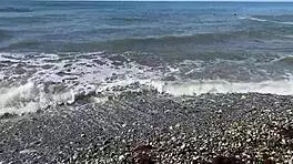 four foresters thrust cocks deep into lonely widow's pussy and ass