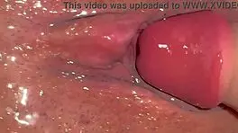 i'm loving these virgin tight pussies stretched by halloween dildos