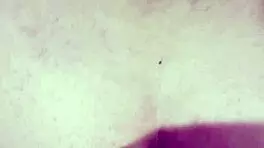 chubby dominican latina bends over doggystyle loving deep anal assfucking