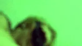 Bts Blondes And Latinas Worship Bbc With Ass Fucks And Golden Showers