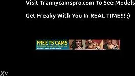 petite shemale cutie licks sucks own cock horny webcam