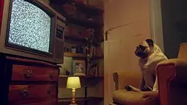 Blonde Deepthroats Then Fucks Revealing Her Perfect Tight Pussy