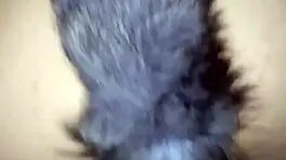 Horny Latina Zorrita Bent Over For Hardcore Pussy Assault